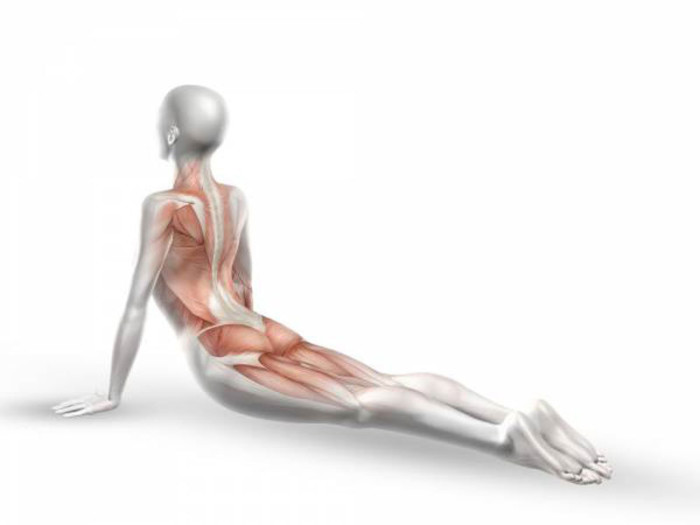 content_Cobra-pose---Bhujangasana-