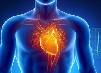 Кардіологи назвали 5 продуктів, які допоможуть поліпшити здоров'я серця