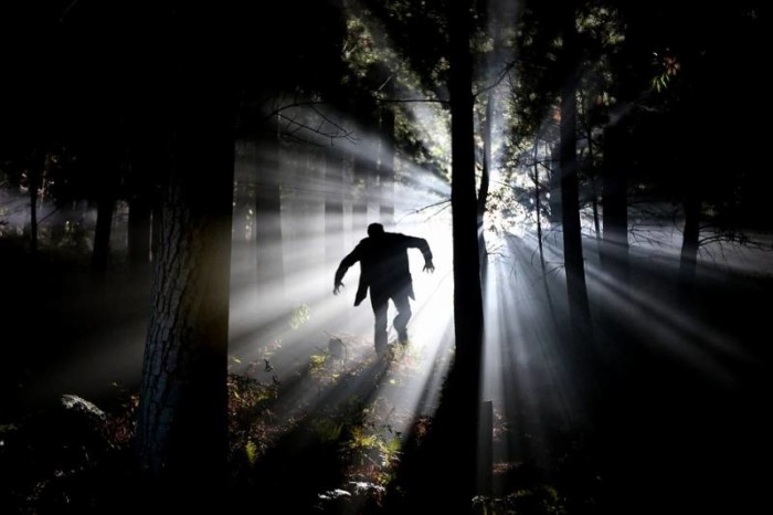 1502699368_eery-1648250_960_720