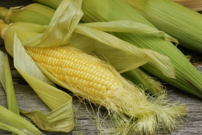 960x640_pitanie-moschnost-power-food-corn-kukuruza-eda