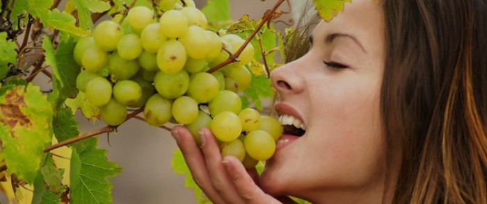 Vinograd_pri_grudnom_vskarmlivanii_-_vred_ili_polza_2