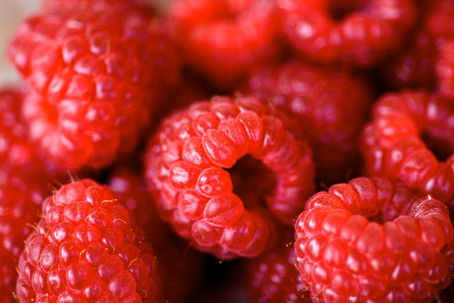 Raspberries at Campo de' Fiori Market