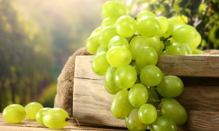 maslo_vinogradnih_kostochek-1
