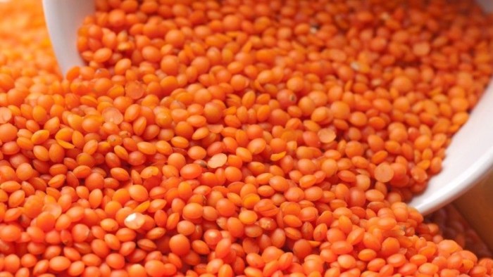 Superagronom_sochevytsya-2754