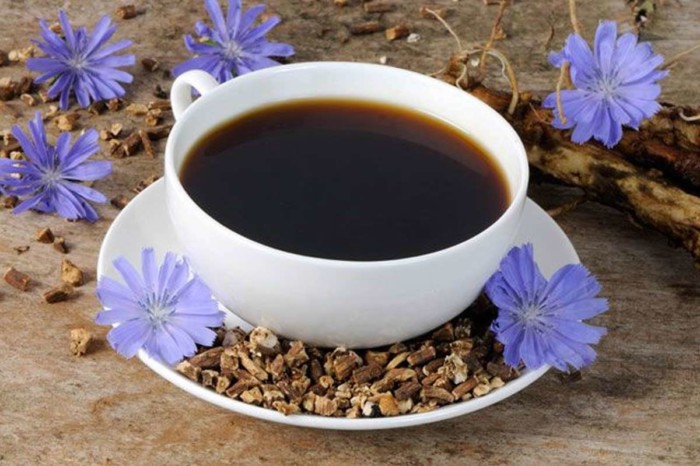 Chicory2