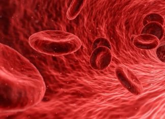 Знайдено неймовірну властивість крові людини