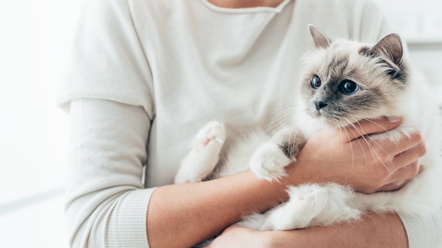 iStock-513743752