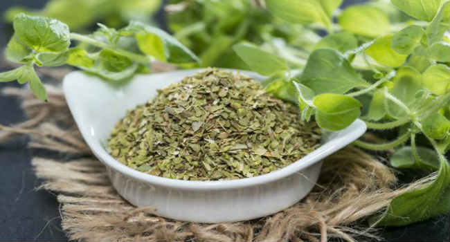 oregano-svojstva