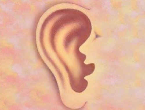 oreja-1