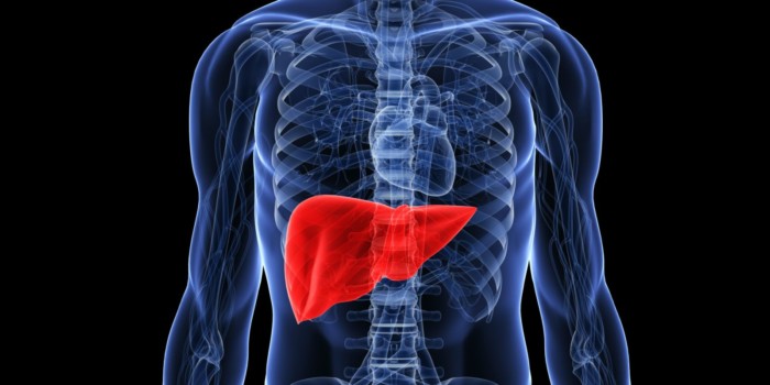 liver-care
