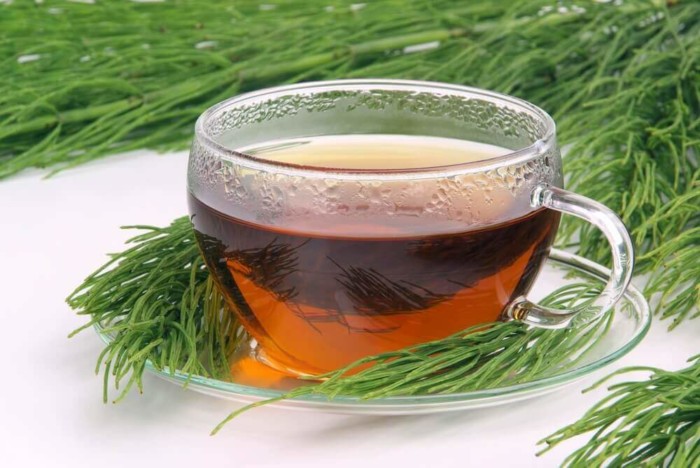 horsetail-tea