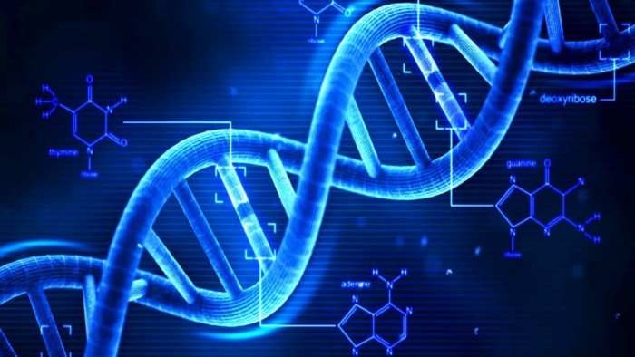 1466692231-dna
