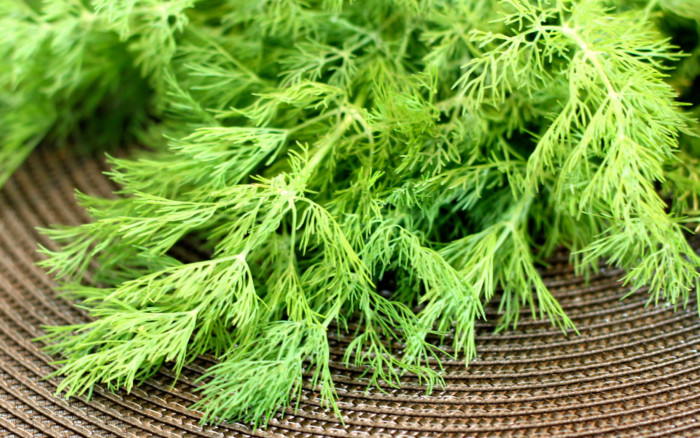 rabstol_net_vegetables_17