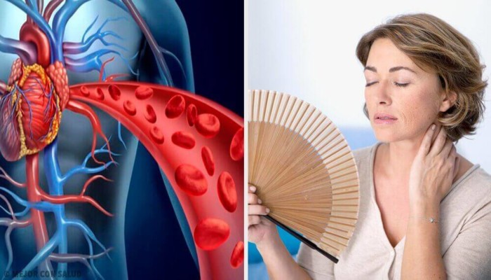 vplyv-menopauzy-na-zdorovya-sertsya