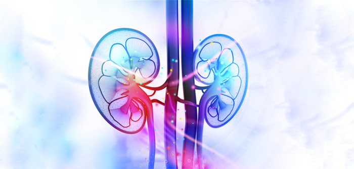 Urology-imh-department