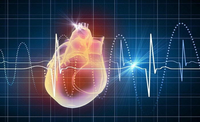Virtual-heart
