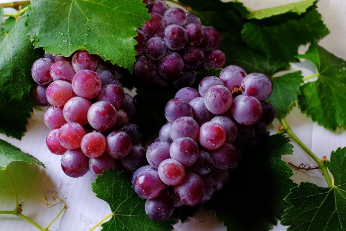 bunch-cluster-delicious-708777-696x464
