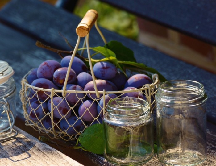 5989bfb4f3073-plums-1649305-960-720_1200