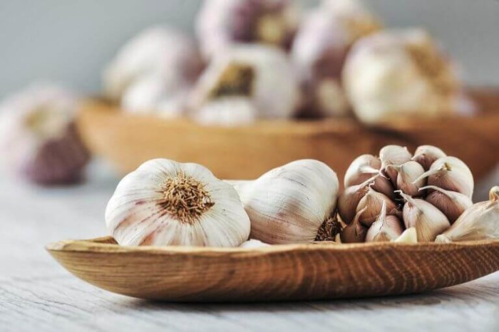 garlic-1