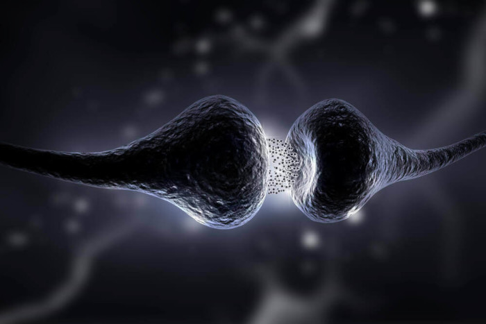 serotoninova-diyeta