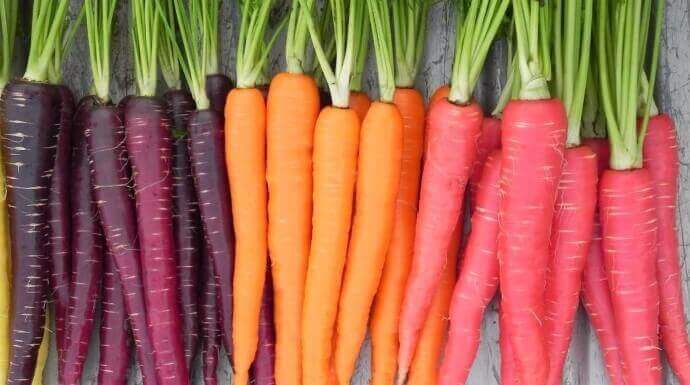 1-colorful-carrots