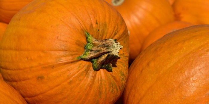 pumpkin-3636243_1280