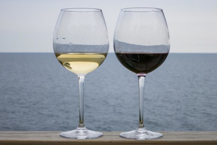 1547135970_wine-1585337_960_720