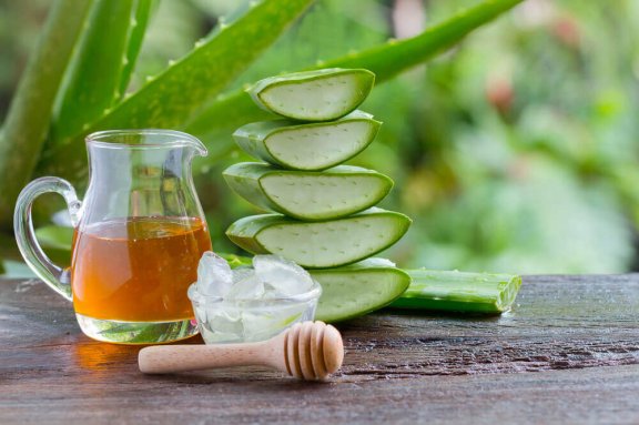 aloe-vera-zasib-576x383