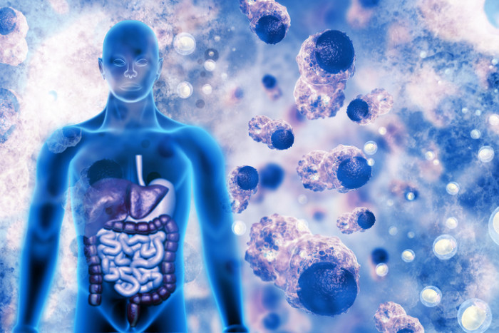 Cancer cells