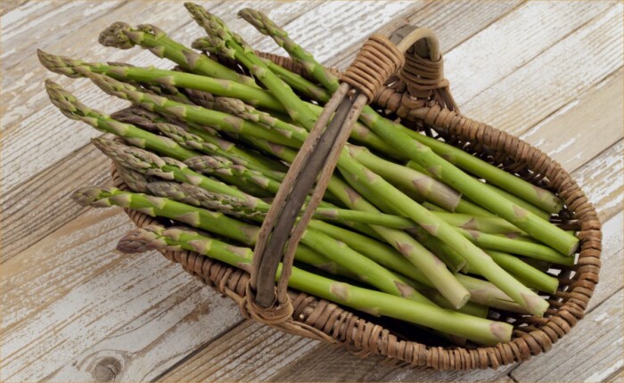 asparagus-01