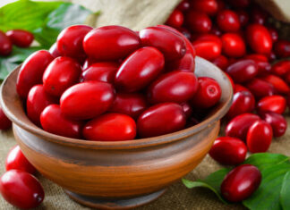 Яку користь для здоров’я жінок приносить кизил
