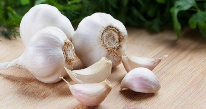 garlic-346345252-750x400