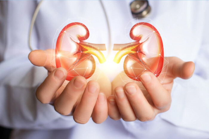 kidneys-in-hands_965x0