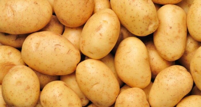potato-750x400