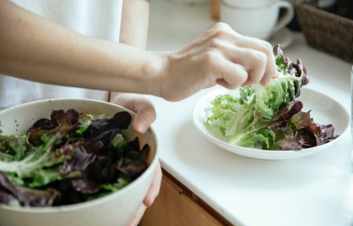 Vegan-2-780x500